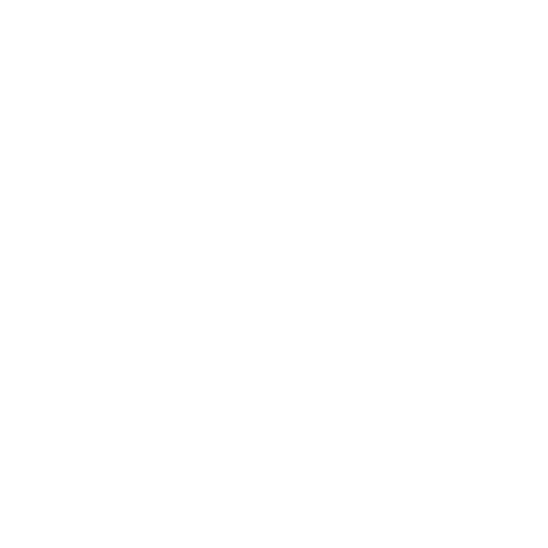 seguridad_ico
