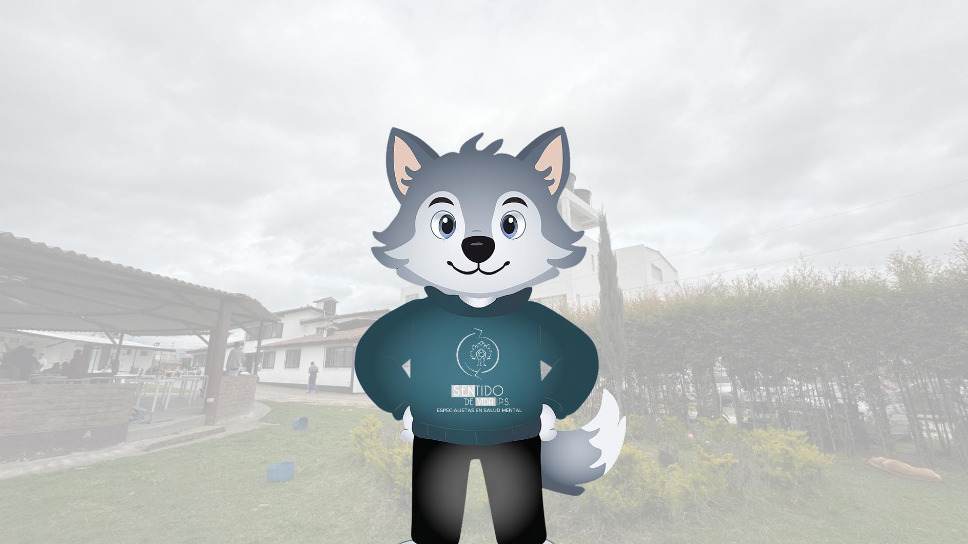 MISION SENTIDO DE VIDA IPS